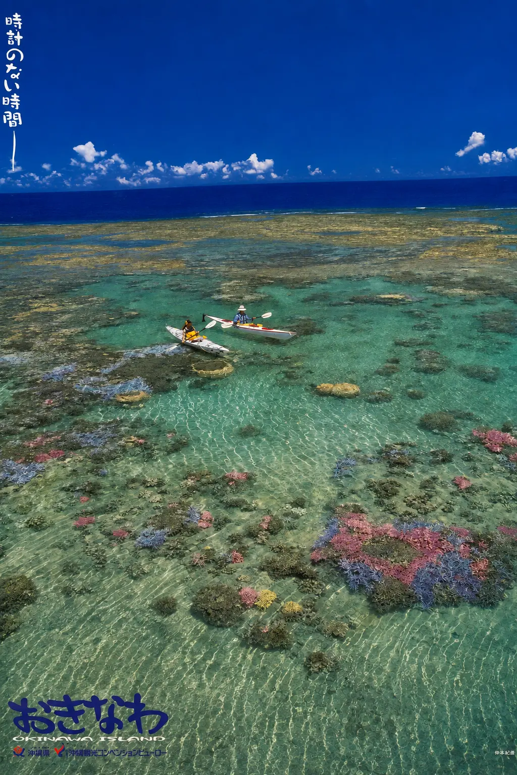 Costa de Okinawa con aguas turquesa y vegetación tropical
